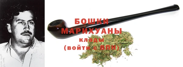 шишки Беломорск