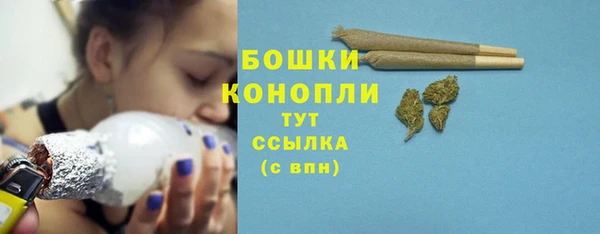 шишки Беломорск