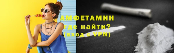 шишки Беломорск