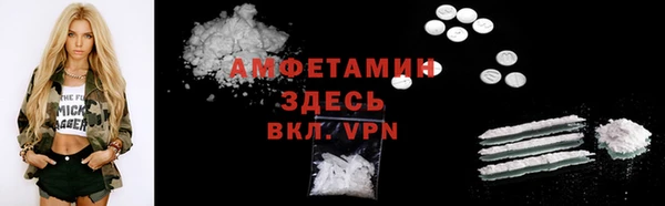 шишки Беломорск