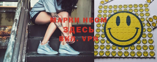 шишки Беломорск