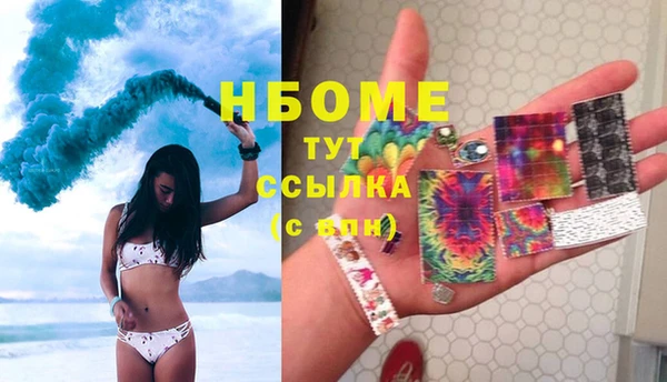 шишки Беломорск