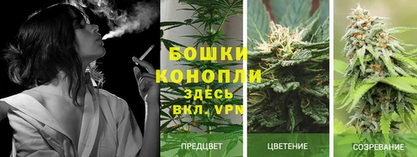 соль ск Мегион