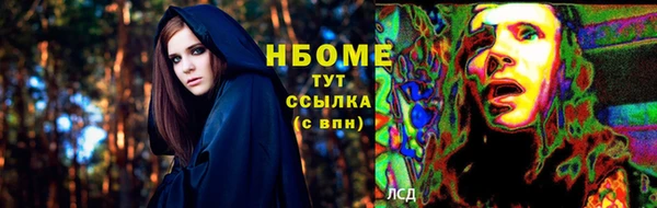 шишки Беломорск